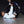 Hooks Pantera Negra BJJ GI - White.