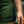 Hooks Women's Flex Shorts - Olive.