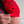 Hooks BJJ Rashguard - Headstrong II - Bulls